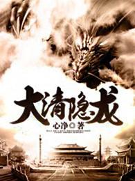 大清隐龙全文 大清隐龙全文