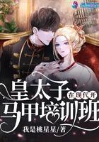 皇太子穿越现代的 皇太子穿越现代的