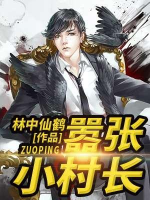 布衣大亨 布衣大亨