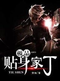 极品贴身家丁 极品贴身家丁
